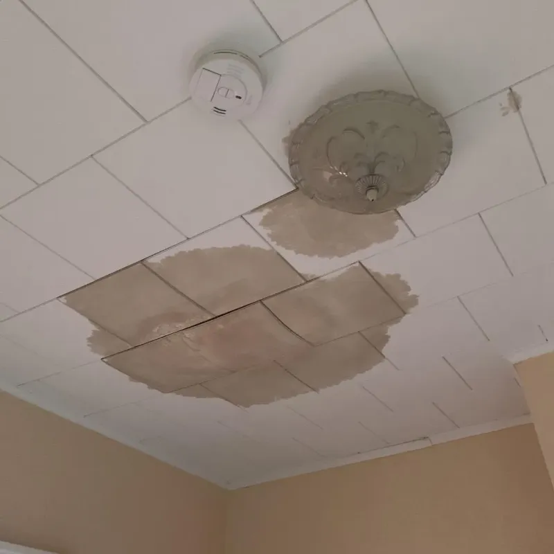 Ceiling Water Damage Repair in Nekoosa, WI