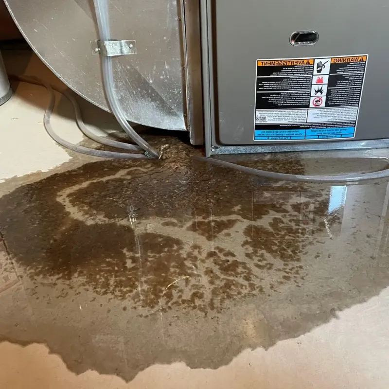 Pipe Burst and Leak Restoration in Nekoosa, WI